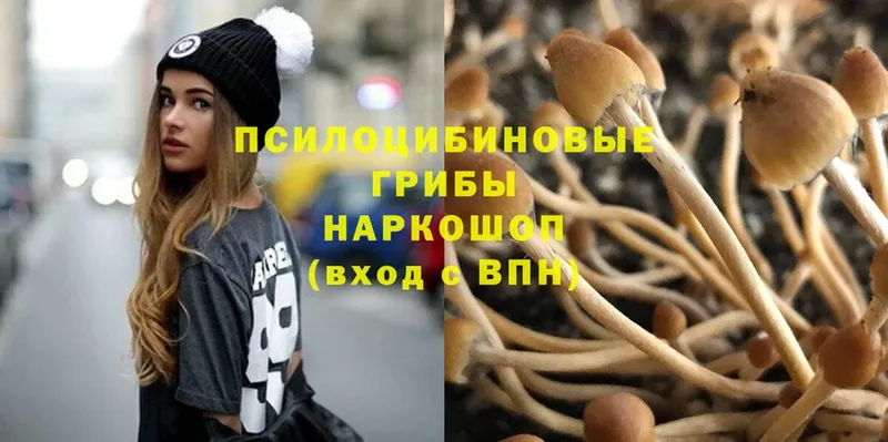 omg рабочий сайт  Юрга  Псилоцибиновые грибы Cubensis  закладка 